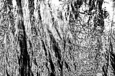 Soyut grunge arkaplanı. Monokrom dokusu. Siyah ve beyaz desenli arkaplan