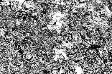 Soyut grunge arkaplanı. Monokrom dokusu. Siyah ve beyaz desenli arkaplan