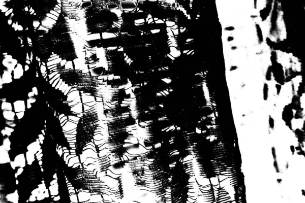 Abstraktní Grunge Pozadí Monochromní Textura Černobílé Texturované Pozadí — Stock fotografie