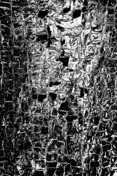 Fondo Grunge Abstracto Textura Monocromática Fondo Texturizado Blanco Negro —  Fotos de Stock