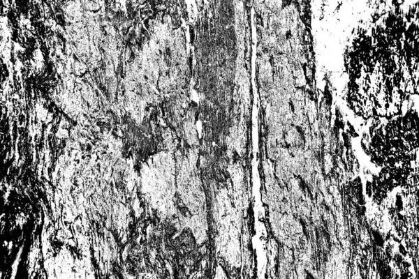 Fondo Grunge Abstracto Textura Monocromática Fondo Texturizado Blanco Negro —  Fotos de Stock