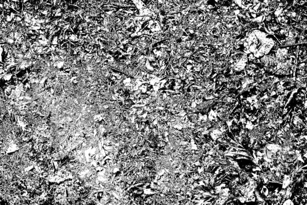 Résumé Fond Grunge Texture Monochrome Fond Texturé Noir Blanc — Photo