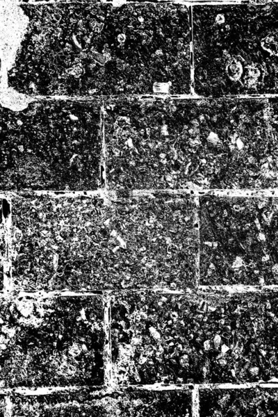 Abstract Grunge Background Monochrome Texture Black White Textured Background — Stock Photo, Image