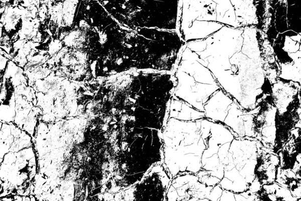 Fondo Grunge Abstracto Textura Monocromática Fondo Texturizado Blanco Negro — Foto de Stock