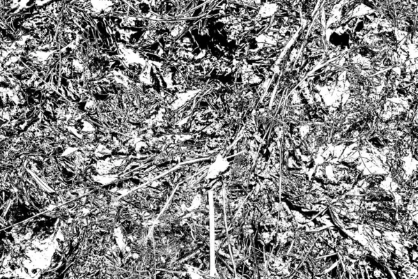 Fondo Grunge Abstracto Textura Monocromática Fondo Texturizado Blanco Negro —  Fotos de Stock