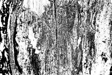 Soyut grunge arkaplanı. Monokrom dokusu. Siyah ve beyaz desenli arkaplan