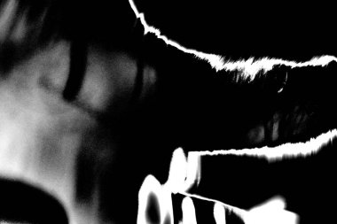 Soyut grunge arkaplanı. Monokrom dokusu. Siyah ve beyaz desenli arkaplan