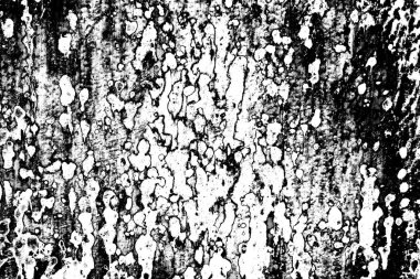 Soyut grunge arkaplanı. Monokrom dokusu. Siyah ve beyaz desenli arkaplan