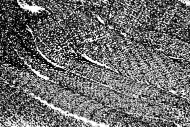 Soyut grunge arkaplanı. Monokrom dokusu. Siyah ve beyaz desenli arkaplan