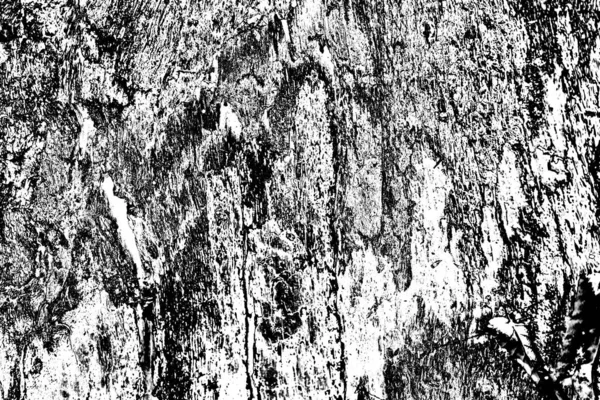 Fondo Grunge Abstracto Textura Monocromática Fondo Texturizado Blanco Negro —  Fotos de Stock