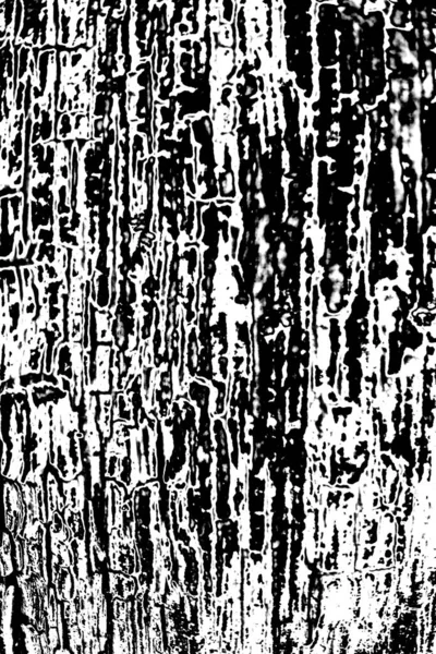 Fundo Grunge Abstrato Textura Monocromática Preto Branco Texturizado Fundo — Fotografia de Stock