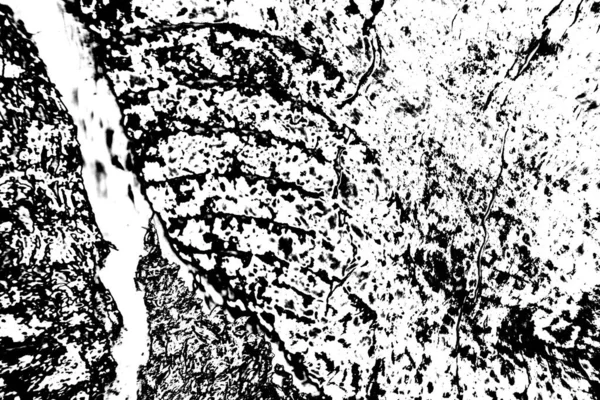 Abstract Fundal Grunge Textura Monocromă Fundal Alb Negru Texturat — Fotografie, imagine de stoc