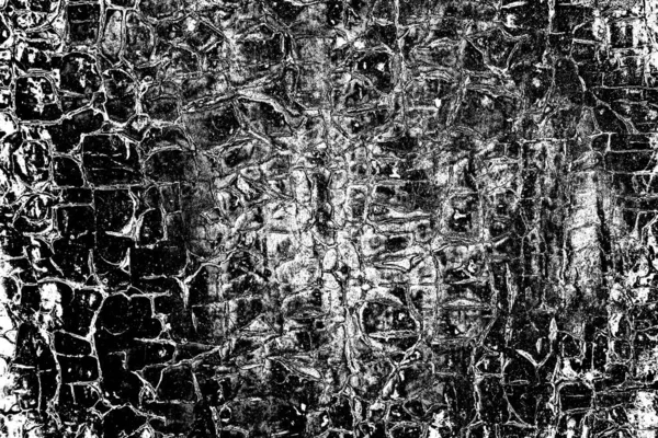 Abstract Grunge Background Monochrome Texture Black White Textured Background — Stock Photo, Image