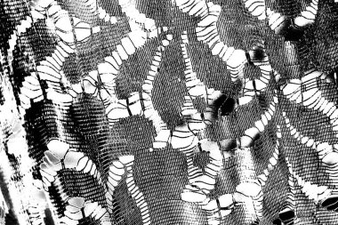 Soyut grunge arkaplanı. Monokrom dokusu. Siyah ve beyaz desenli arkaplan