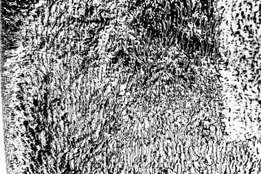 Soyut grunge arkaplanı. Monokrom dokusu. Siyah ve beyaz desenli arkaplan