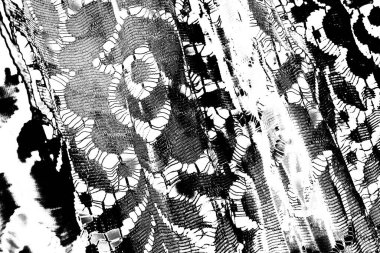 Soyut grunge arkaplanı. Monokrom dokusu. Siyah ve beyaz desenli arkaplan