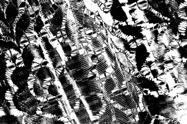 Soyut grunge arkaplanı. Monokrom dokusu. Siyah ve beyaz desenli arkaplan