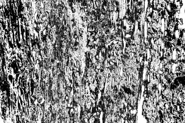 Fondo Grunge Abstracto Textura Monocromática Fondo Texturizado Blanco Negro —  Fotos de Stock