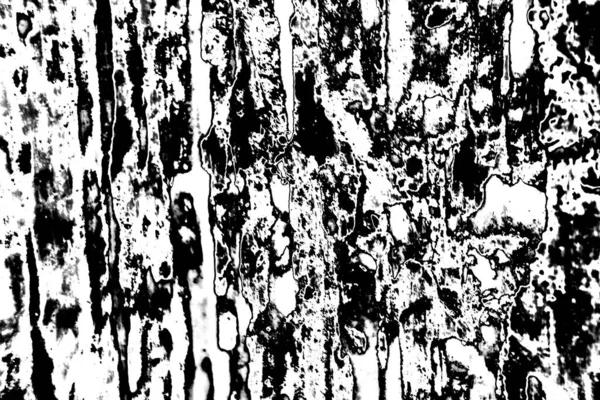 Fondo Grunge Abstracto Textura Monocromática Fondo Texturizado Blanco Negro — Foto de Stock