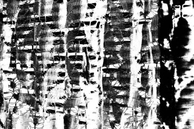 Soyut grunge arkaplanı. Monokrom dokusu. Siyah ve beyaz desenli arkaplan