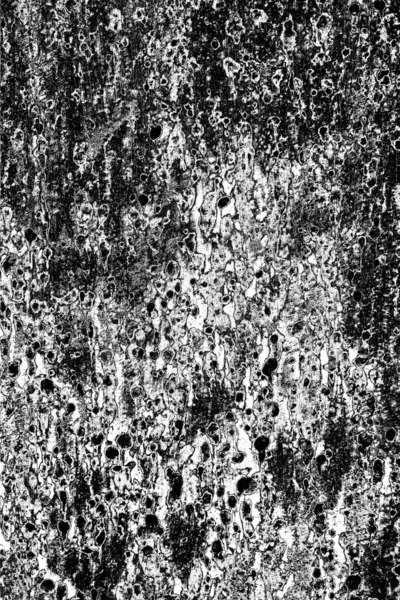 Fondo Grunge Abstracto Textura Monocromática Fondo Texturizado Blanco Negro — Foto de Stock