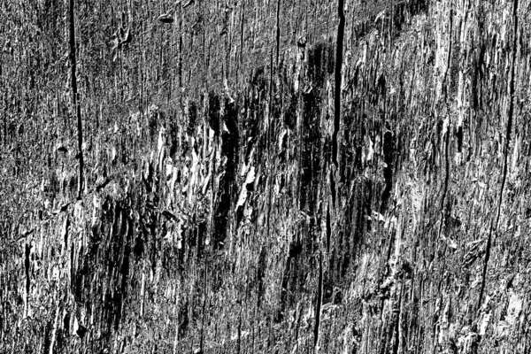 Fundo Grunge Abstrato Textura Monocromática Preto Branco Texturizado Fundo — Fotografia de Stock