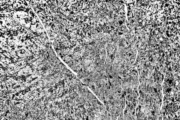 Абстрактний Чорно Білий Фон Монохромна Текстура — стокове фото