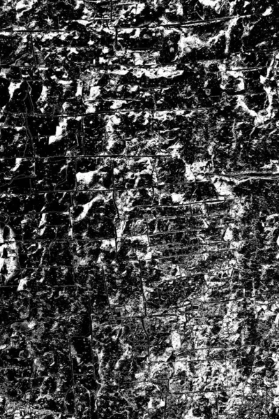 Fondo Grunge Abstracto Textura Monocromática Fondo Texturizado Blanco Negro —  Fotos de Stock