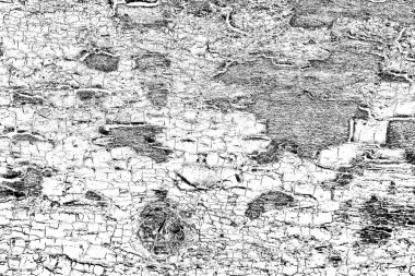 Soyut siyah beyaz arka plan. monokrom dokusu.