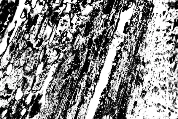 Grunge Fondo Abstracto Tonos Blanco Negro —  Fotos de Stock