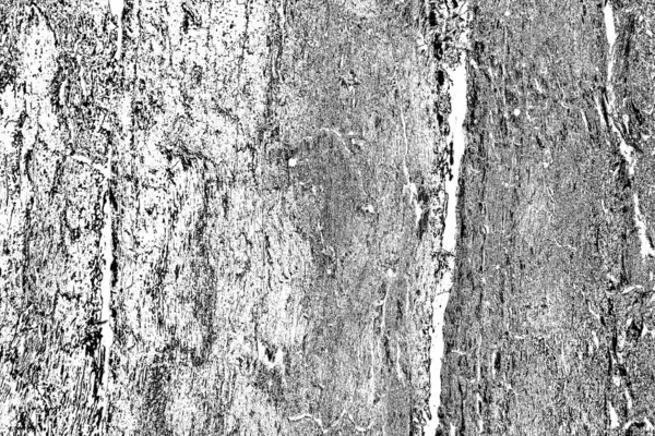 Abstract Grunge Background Monochrome Texture Black White Textured Background — Stock Photo, Image