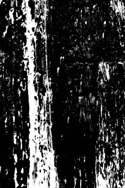 Soyut grunge arkaplanı. Monokrom dokusu. Siyah ve beyaz desenli arkaplan