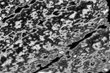 Soyut grunge arkaplanı. Monokrom dokusu. Siyah ve beyaz desenli arkaplan