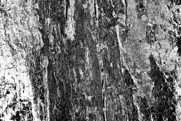 Fondo Grunge Abstracto Textura Monocromática Fondo Texturizado Blanco Negro —  Fotos de Stock