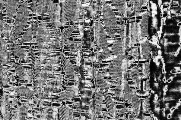 Résumé Fond Grunge Texture Monochrome Fond Texturé Noir Blanc — Photo