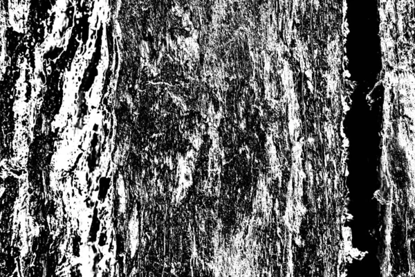 Sfondo Astratto Grunge Struttura Monocromatica Bianco Nero Sfondo Strutturato — Foto Stock