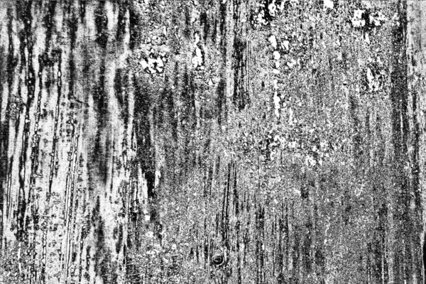 Résumé Fond Grunge Texture Monochrome Fond Texturé Noir Blanc — Photo