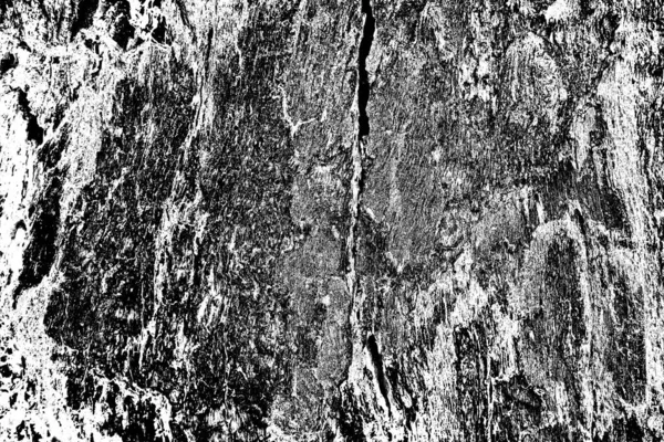 Fondo Grunge Abstracto Textura Monocromática Fondo Texturizado Blanco Negro — Foto de Stock