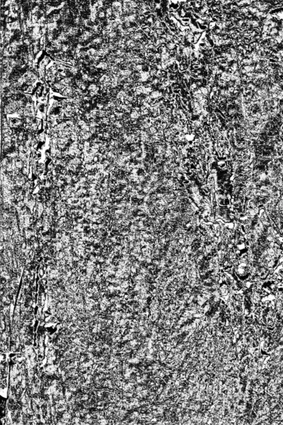 Fondo Grunge Abstracto Textura Monocromática Fondo Texturizado Blanco Negro — Foto de Stock