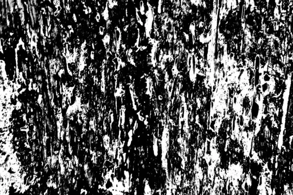 Fundo Grunge Abstrato Textura Monocromática Preto Branco Texturizado Fundo — Fotografia de Stock