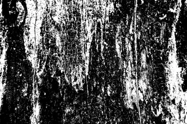 Sfondo Astratto Grunge Struttura Monocromatica Bianco Nero Sfondo Strutturato — Foto Stock