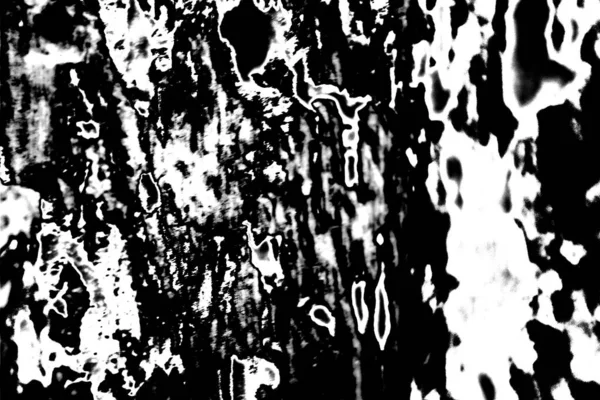 Fondo Grunge Abstracto Textura Monocromática Fondo Texturizado Blanco Negro — Foto de Stock