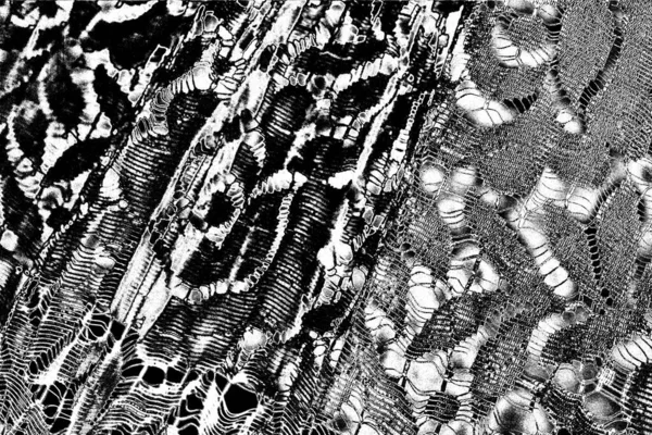 Fondo Grunge Abstracto Textura Monocromática Fondo Texturizado Blanco Negro —  Fotos de Stock