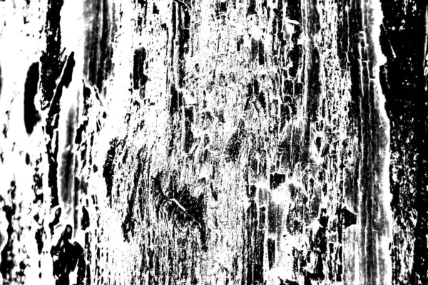 Sfondo Astratto Texture Monocromatica Immagine Compreso Effetto Toni Bianco Nero — Foto Stock