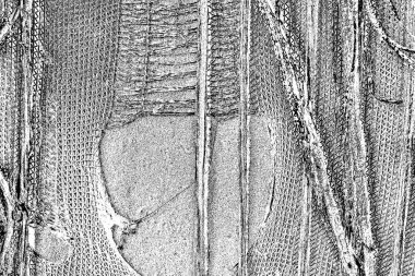 Soyut grunge arkaplanı. Monokrom dokusu. Siyah ve beyaz desenli arkaplan