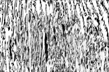 Soyut grunge arkaplanı. Monokrom dokusu. Siyah ve beyaz desenli arkaplan