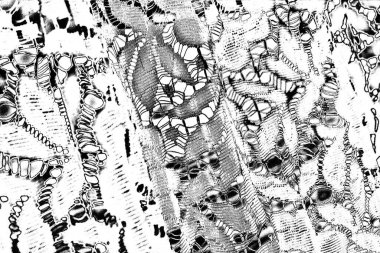 Soyut grunge arkaplanı. Monokrom dokusu. Siyah ve beyaz desenli arkaplan