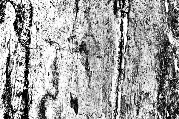 Sfondo Astratto Texture Monocromatica Immagine Compreso Effetto Toni Bianco Nero — Foto Stock