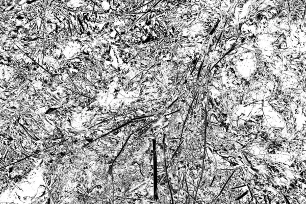 Fondo Grunge Abstracto Textura Monocromática Fondo Texturizado Blanco Negro —  Fotos de Stock