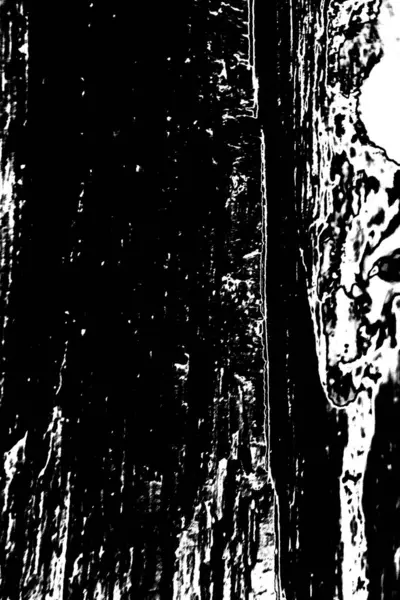 Résumé Fond Grunge Texture Monochrome Fond Texturé Noir Blanc — Photo